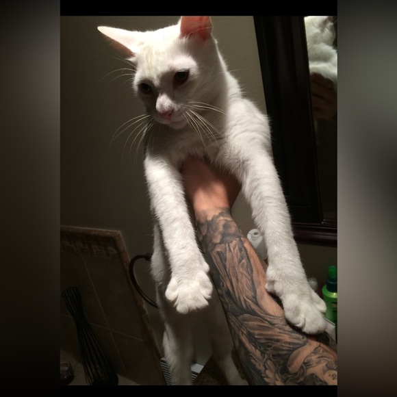 Meet your Posher, Jimmy - Picture 17 of 17